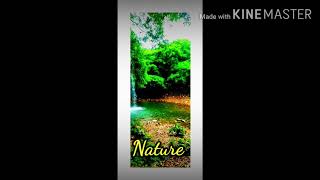 Nature status  10 seconds status song