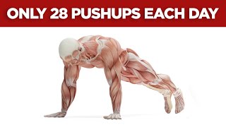 Pushups Per Day Will Change Your Body
