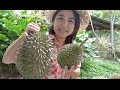 浮罗山背 - 林中吃榴莲 Farm Fresh Durians at Balik Pulau!