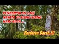 PENAMPAKAN LAGI NYATA DI SIANG-SIANG HARI BUTA  #hantu #pocong #kuntilanak