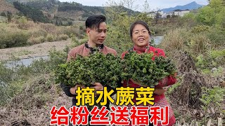 三嫂去廣西摘蕨菜給粉絲送福利，越摘越過癮，一下子摘得100多斤【農人家三嫂】