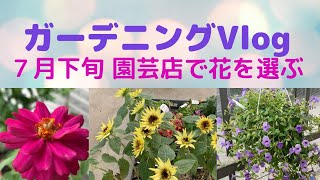 🌹【ガーデニング日記】花壇に植える花を選びに園芸店に行きました