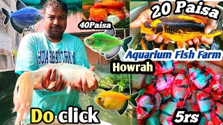 12 paisa,50 paisa & 1 rupiya mai Aquarium Fish😳? | Fishing | westbengal | Fish Farm