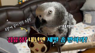 초콜릿 만드는 김유정을 짠하게 바라보던 김루이 / 결국 얼굴을 공개 해버리는데…🤣