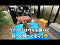 「猟犬と暮らす」week85