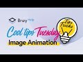 Upgrade Your Website - Amazing Image Hover Animations Revealed!