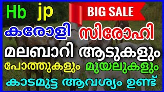 ഒരാഴ്ച 500 കാട മുട്ട ആവശ്യമുണ്ട് ഒരു എണ്ണം രണ്ടു രൂപയ്ക്കു pinne എല്ലാ ഇനം  ആടുകളും വിൽപ്പനയ്ക്ക്