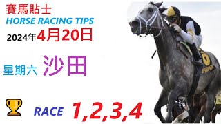 HKJC「賽馬貼士」🐴 2024  年 4  月 20  日 沙田 🐴 香港賽馬貼士 HONG KONG HORSE RACING TIPS 🐴 RACE  1  2 3  4