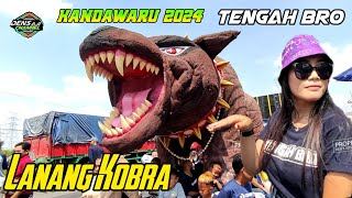 Lanang Kobra || Sea Party Kandawaru Cirebon ~ Gang Tengah Bro | Pesta Petani Garam 08 September 2024