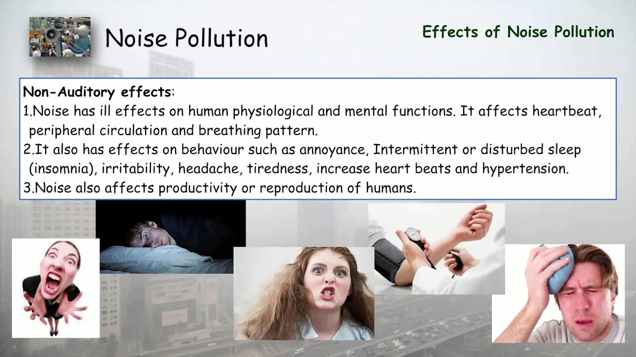 Noise Pollution - Environmental Studies - YouTube