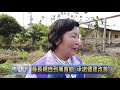 南投新聞 鹿谷富林巷改善工程會勘