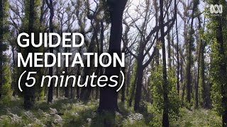 Guided Meditation For Resilience (5 Minutes) | Natural Mindful