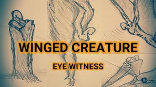 Winged Creature / Vortex [ Eye Witness ]