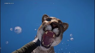 All Animal Attacks On You In Slow Motion (Far Cry 5)