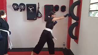 Resumen, progreso en golpes y patadas( principiantes, karate, taekwondo).
