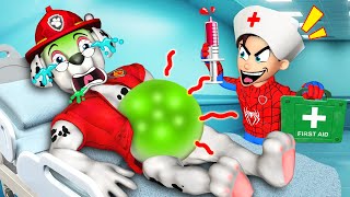 Marshall Is In The Hospital? What Happened?! | So Sad Story | Rainbow 3 | Paw patrol 3D Animation