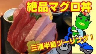 絶品マグロ丼を求めて！　三浦半島ツーリング！