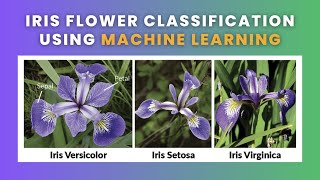 Iris Flower Classification - Part 1| Data Science | Machine Learning | Python | 2023