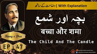 Bacha Aur Shama + Tashreeh  |  Allama iqbal poetry |  kulyat e iqbal | Bang e Dra 47