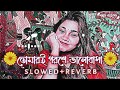 ek jibon এক জীবন slowed reverb lofi music তোমারই পরশে ভালোবাসা lofimusic slowed somrat