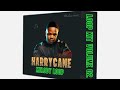 HarryCane amapiano sample pack (melody loop)