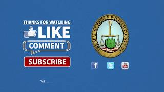 The Buzz: Pooch Plunge 2017