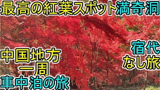 中国地方一周【車中泊の旅】2日目-1 岡山編 最高の紅葉スポット『満奇洞』ライトアップの鍾乳洞 JAPAN Travel