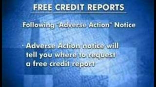 Identity Theft Prevention | Credit Reports & Fraud Alerts