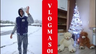 VLOGMAS 1/31 - Kitimo jelku zajedno🎄🎁