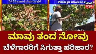 Mango Crop Loss | ಸಂಕಷ್ಟಕ್ಕೆ ಸಿಲುಕಿದ ಕೋಲಾರದ ಮಾವು ಬೆಳೆಗಾರರು! | Kolar News