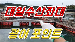 [갑프로] 안면도 대일수산좌대 광어 포인트 물때별 계산법 어느 좌대나 활용 가능 합니다.