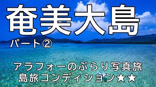 【奄美大島/加計呂麻島】アラフォーの気ままな写真旅（パート2）