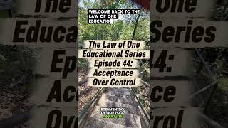 The Law of One Educational Series Episode 44: Acceptance Over Control #fyp #foryou