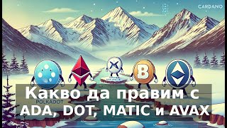 Накъде отиват DOT, ADA, MATIC и AVAX?