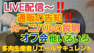 【多肉植物】色々お知らせLIVE配信