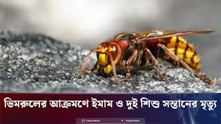 ময়মনসিংহে ভিমরুলের আক্রমণে ইমাম ও তার দুই সন্তানের মৃ'ত্যু | Mymensingh | Deepto News