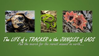 Adventures of an expert wildlife tracker in the jungles of Lao PDR