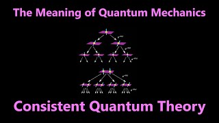 Consistent Quantum Theory (Consistent Histories)