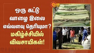 Banana Leaf | ஒரு கட்டுவாழை இலைஎவ்வளவு தெரியுமா?மகிழ்ச்சியில்விவசாயிகள்! | Sun News