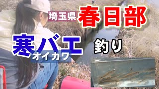 釣れぬなら夕まずまで待とうオイカワ釣り！Fishing Girl | Best Fishing Video