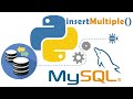 PYTHON MYSQL HOW TO INSERT MULTIPLE DATA INTO DATABASE TABLE USING PYTHON MYSQL CONNECTOR APACHE