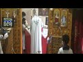 Sunday English Liturgy - Fr. Anthony Basily - 8/30/2020