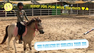 Blinky’s Horse Riding: Siri Park\u0026Zoo by Sriracha Tiger Zoo Chonburi ขี่ม้าสวนสัตว์ศิริพาร์ค ศรีราชา