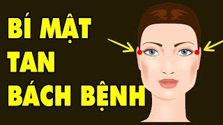 Found a Cure for All Diseases That Anyone Can Do | HYT3