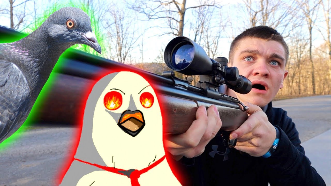 Pigeon Hunting Gone Wrong Youtube