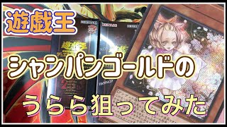 【遊戯王】年に1度のお祭りがやってきたのでレアコレ QUARTER CENTURY EDITION 3BOX開封【シャンパンゴールド】