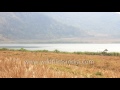 zokhawthar village paddy field at india myanmar border