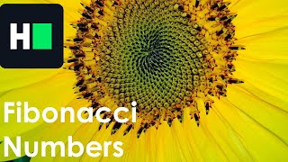HackerRank- Fibonacci Numbers| Recursive Solution Explained | C++