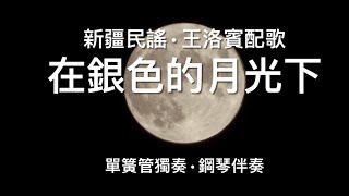 在銀色的月光下 / 詞曲王洛賓/ 單簧管及鋼琴/ 新疆塔塔爾族民歌 / In the Silvery Moonlight, Xinjiang Folk Song, Clarinet and Piano