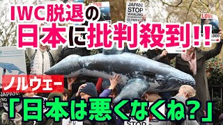 【海外の反応】「なぜ日本ばかり責めるんだ！」ノルウェーが疑問視！なお、お隣さんは日本の４倍の世界1位捕鯨大国www【グレートJAPANちゃんねる】